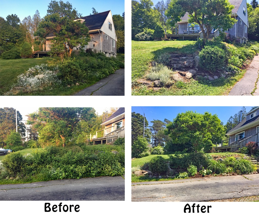 Diagnosis: Severe neglect