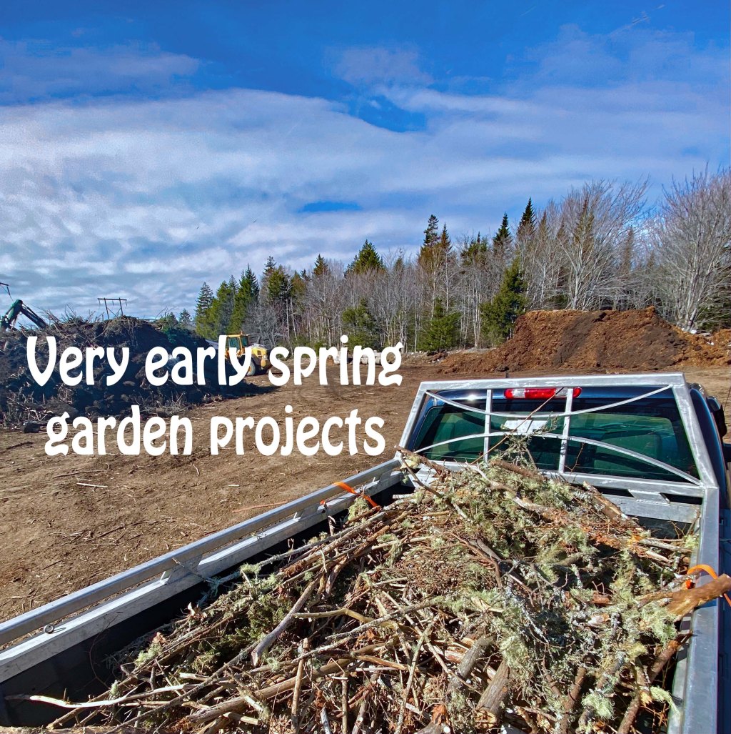 Very early spring projects