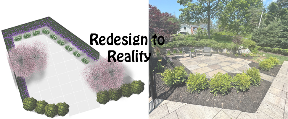 Redesign to Reality