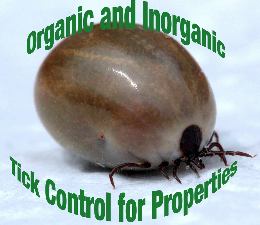 Organic and Inorganic Tick Control for Properties
